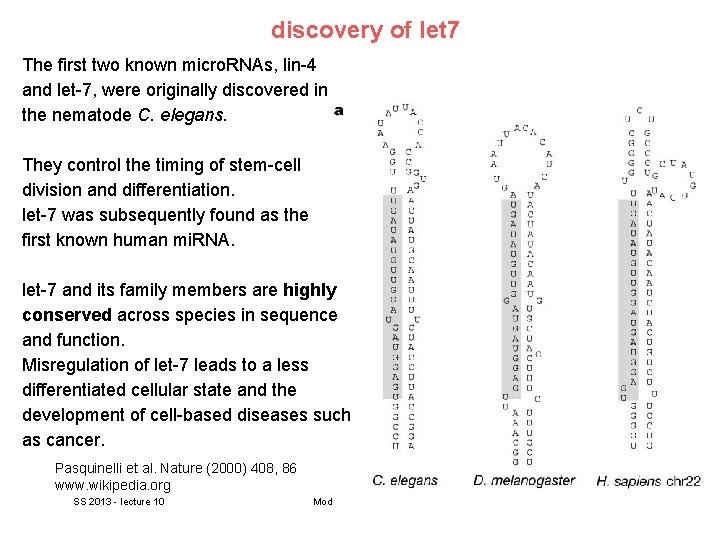 discovery of let 7 The first two known micro. RNAs, lin-4 and let-7, were