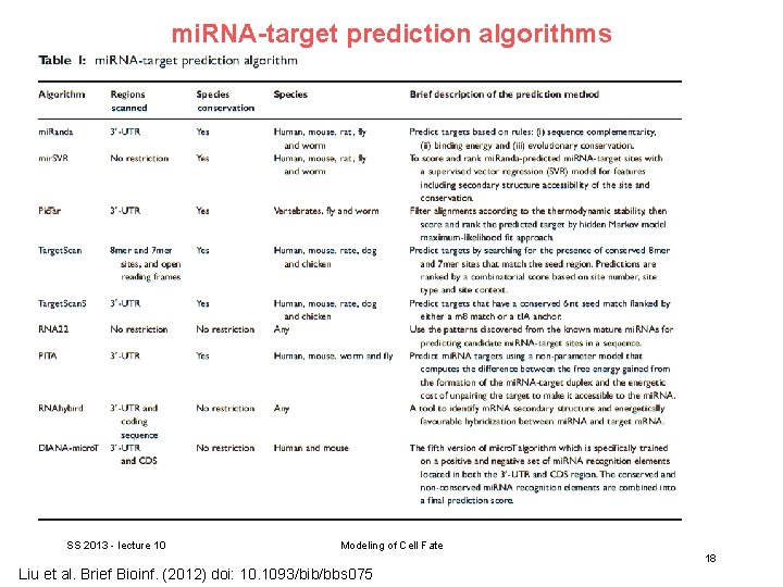 mi. RNA-target prediction algorithms SS 2013 - lecture 10 Modeling of Cell Fate 18