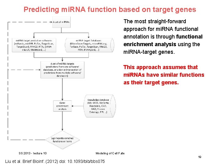 Predicting mi. RNA function based on target genes The most straight-forward approach for mi.