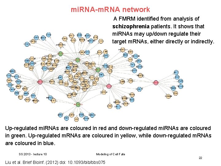 mi. RNA-m. RNA network A FMRM identified from analysis of schizophrenia patients. It shows