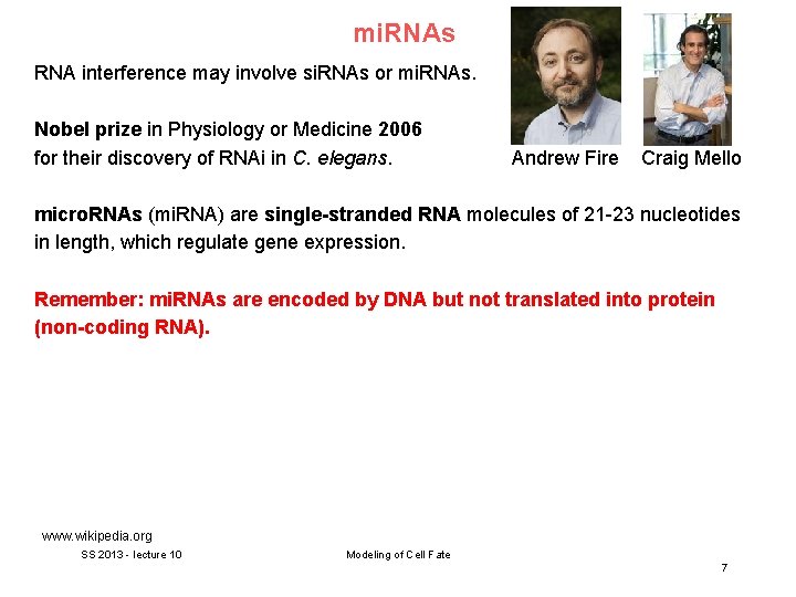 mi. RNAs RNA interference may involve si. RNAs or mi. RNAs. Nobel prize in