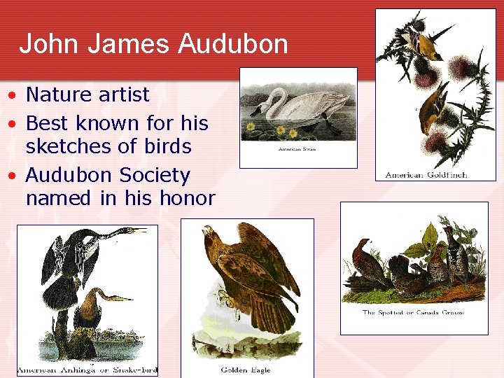 John James Audubon • Nature artist • Best known for his sketches of birds