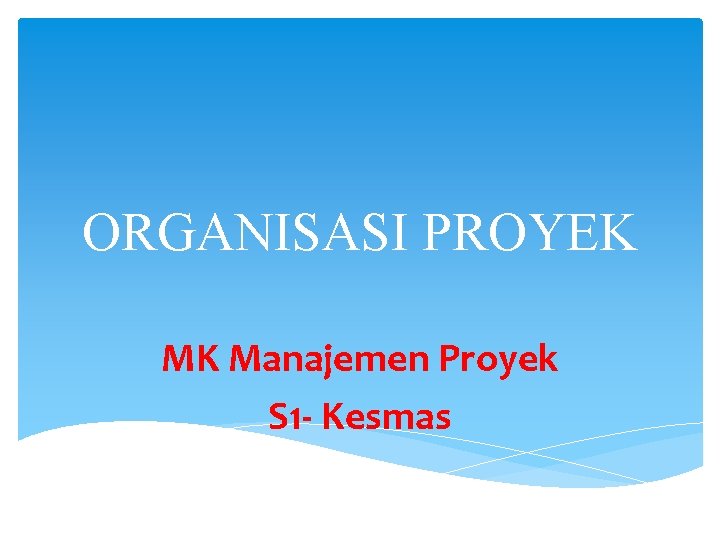 ORGANISASI PROYEK MK Manajemen Proyek S 1 - Kesmas 