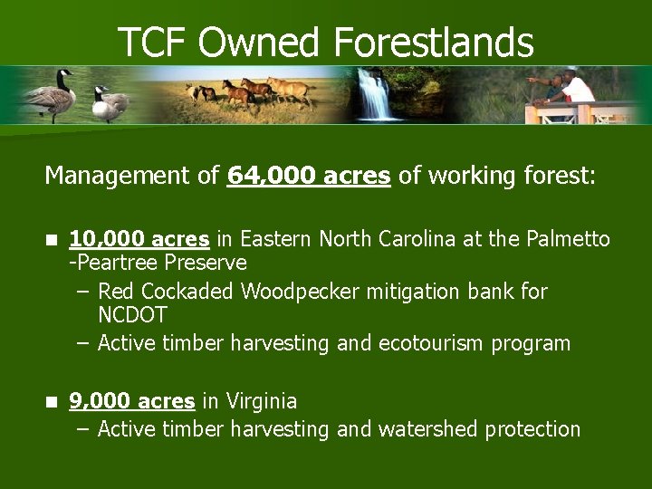 TCF Owned Forestlands Management of 64, 000 acres of working forest: n 10, 000