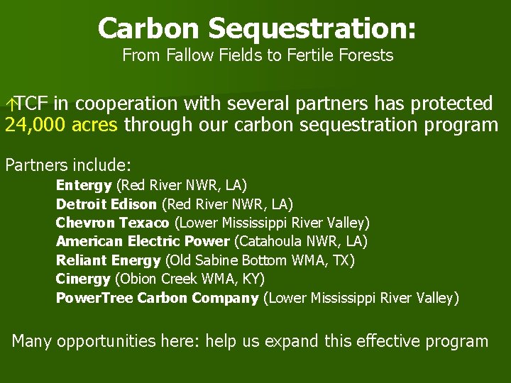 Carbon Sequestration: From Fallow Fields to Fertile Forests áTCF in cooperation with several partners