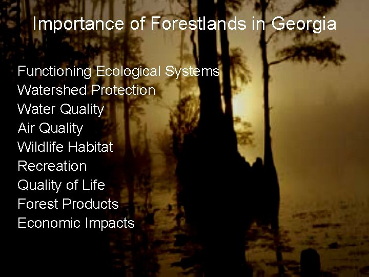 Importance of Forestlands in Georgia q Functioning Ecological Systems q Watershed Protection q Water