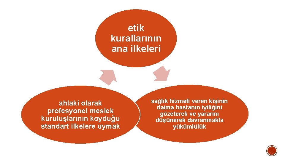 etik kurallarının ana ilkeleri ahlaki olarak profesyonel meslek kuruluşlarının koyduğu standart ilkelere uymak sağlık etik kurallarının ana ilkeleri ahlaki olarak profesyonel meslek kuruluşlarının koyduğu standart ilkelere uymak sağlık