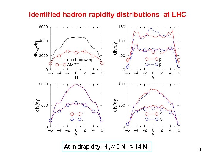 Identified hadron rapidity distributions at LHC At midrapidity, Nπ ≈ 5 NK ≈ 14