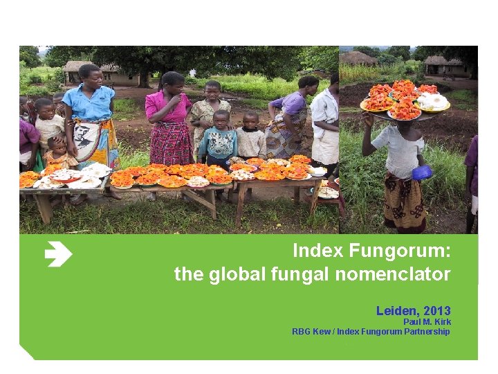 Index Fungorum: the global fungal nomenclator Leiden, 2013 Paul M. Kirk RBG Kew /