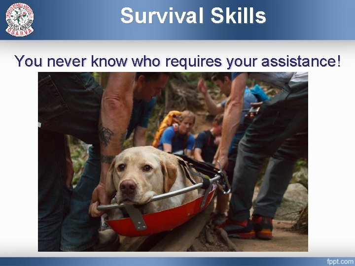Survival Skills You never know who requires your assistance! 
