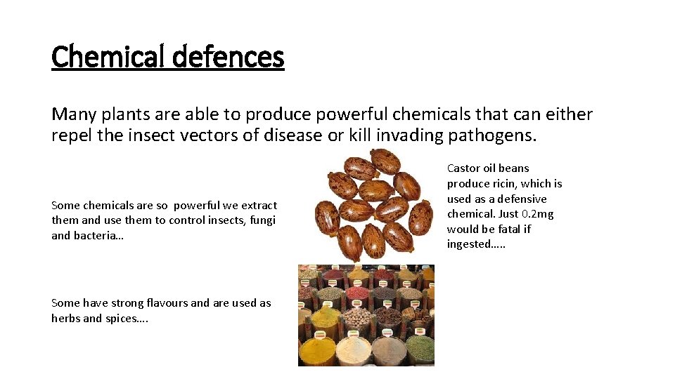 Chemical defences Many plants are able to produce powerful chemicals that can either repel