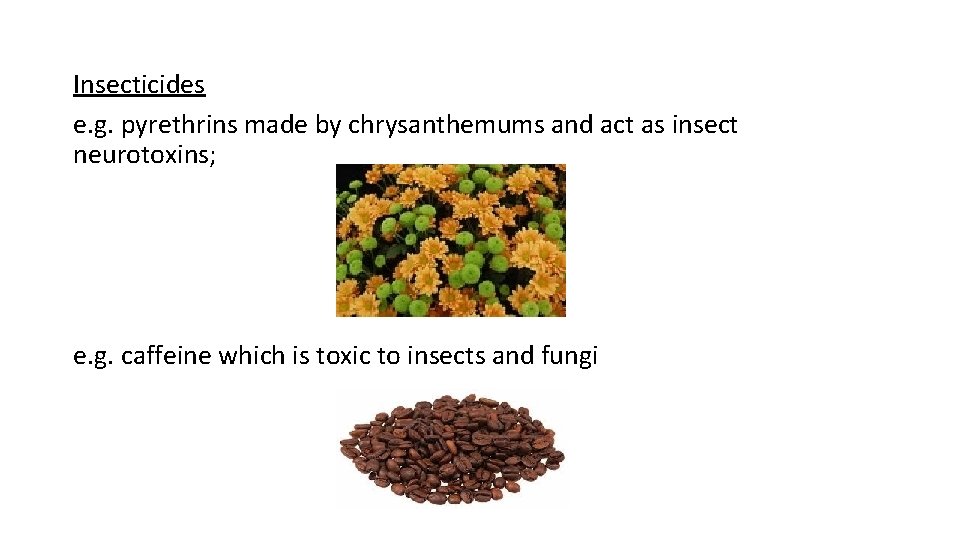 Insecticides e. g. pyrethrins made by chrysanthemums and act as insect neurotoxins; e. g.