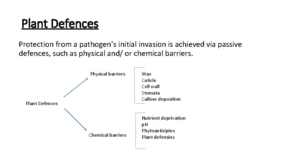 Plant Defences Protection from a pathogen’s initial invasion is achieved via passive defences, such