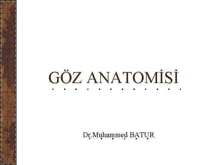 GÖZ ANATOMİSİ Dr. Muhammed BATUR 