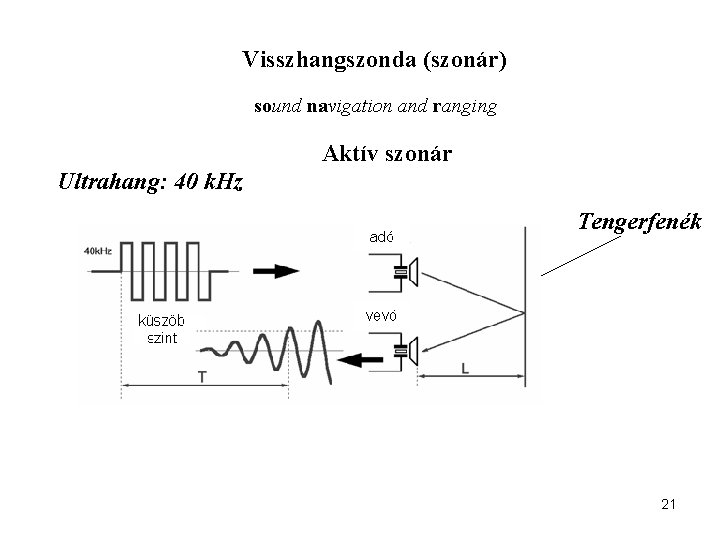 Visszhangszonda (szonár) sound navigation and ranging Aktív szonár Ultrahang: 40 k. Hz Tengerfenék 21