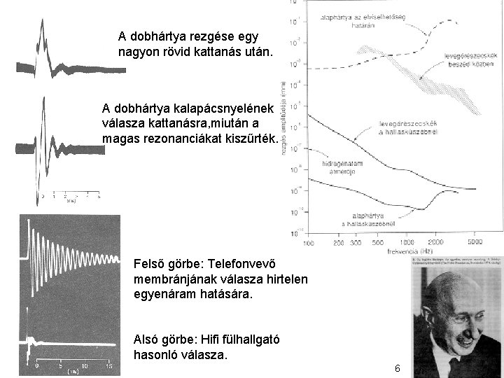 A dobhártya rezgése egy nagyon rövid kattanás után. A dobhártya kalapácsnyelének válasza kattanásra, miután