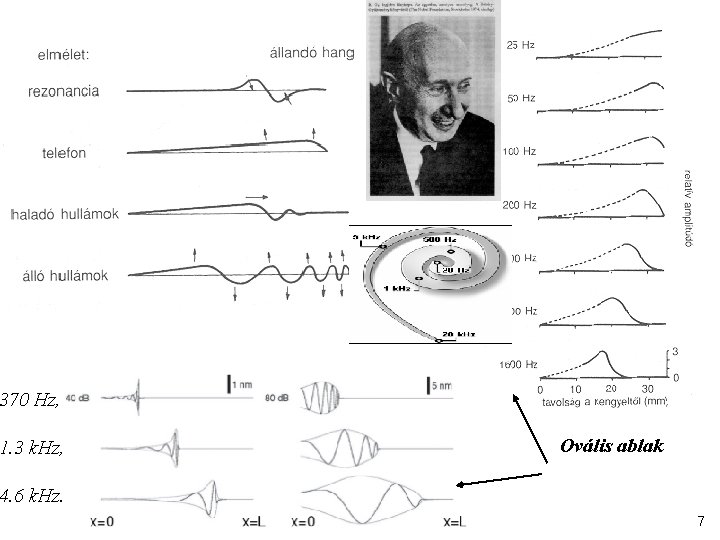 370 Hz, 1. 3 k. Hz, Ovális ablak 4. 6 k. Hz. 7 