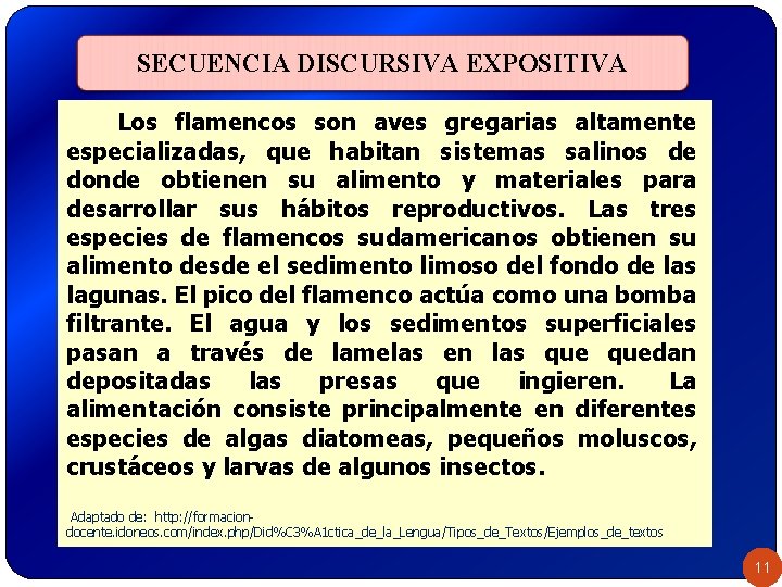 SECUENCIA DISCURSIVA EXPOSITIVA Los flamencos son aves gregarias altamente especializadas, que habitan sistemas salinos SECUENCIA DISCURSIVA EXPOSITIVA Los flamencos son aves gregarias altamente especializadas, que habitan sistemas salinos