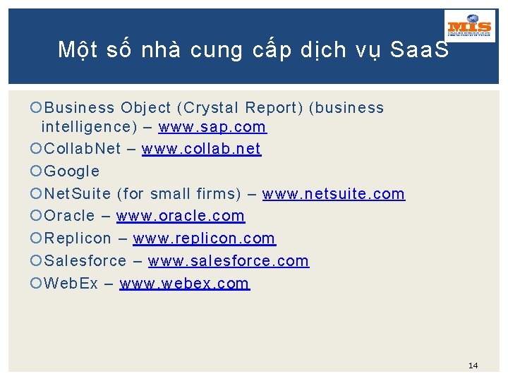 Một số nhà cung cấp dịch vụ Saa. S Business Object (Crystal Report) (business