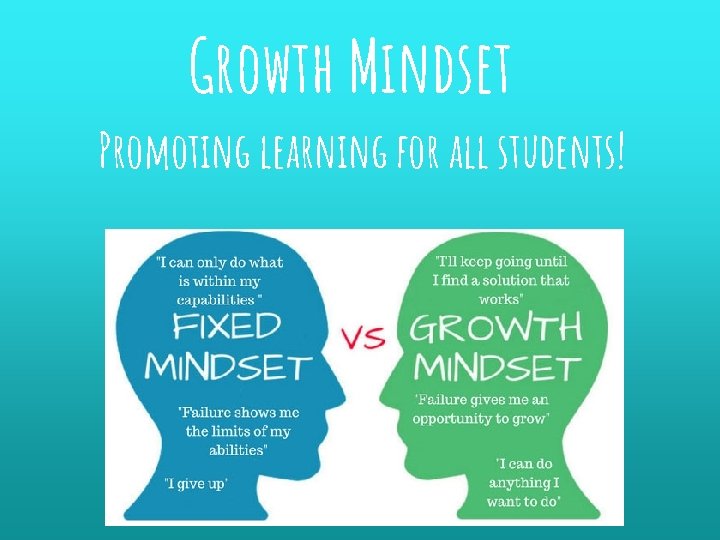 Growth Mindset Promoting learning for all students! 