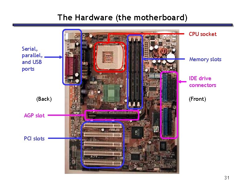 The Hardware (the motherboard) CPU socket Serial, parallel, and USB ports Memory slots IDE