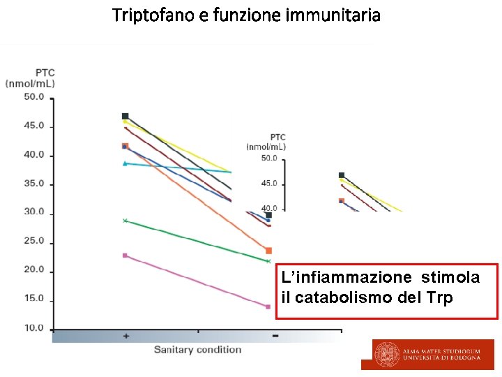 Triptofano e funzione immunitaria L’infiammazione stimola il catabolismo del Trp 