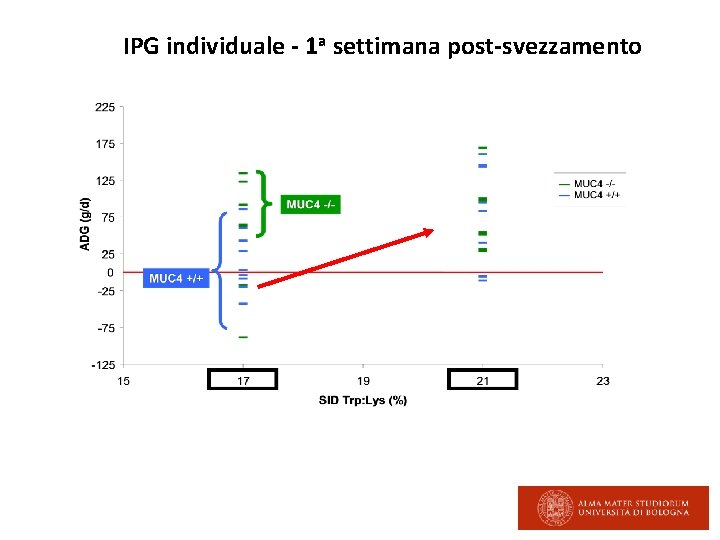 IPG individuale - 1 a settimana post-svezzamento 