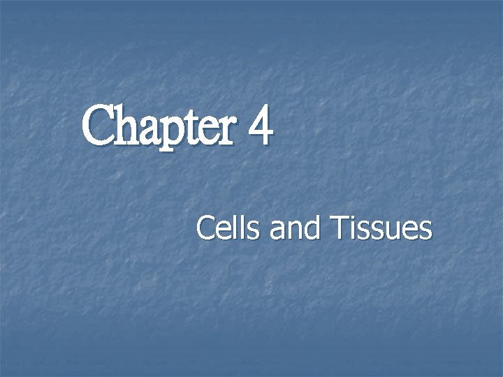 Chapter 4 Cells and Tissues 