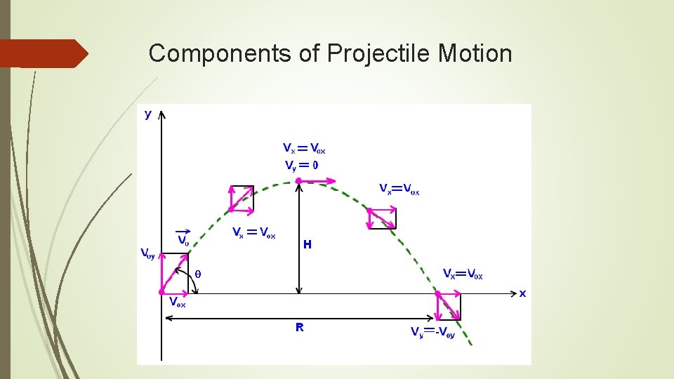 Components of Projectile Motion 