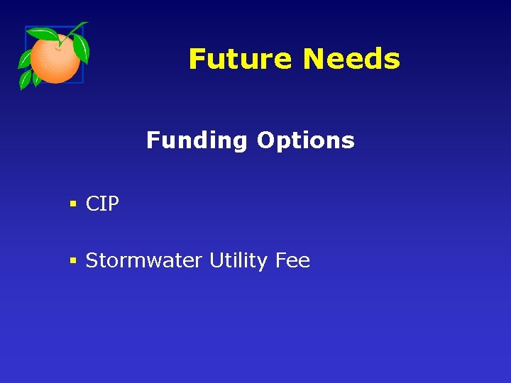 Future Needs Funding Options § CIP § Stormwater Utility Fee 