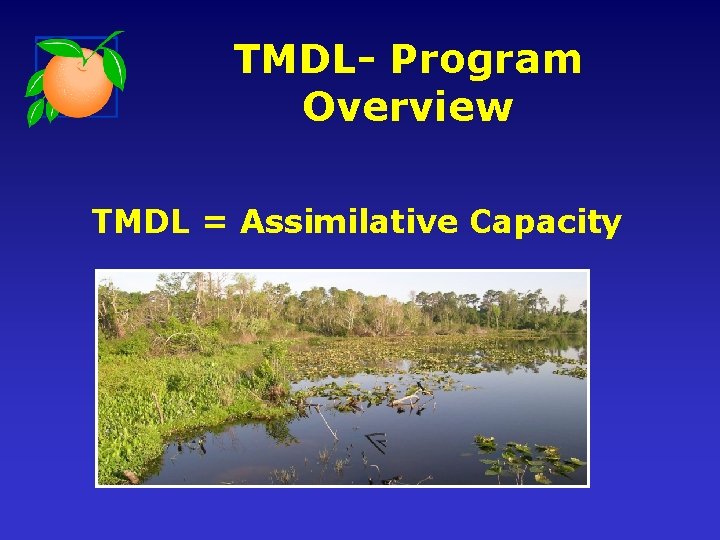 TMDL- Program Overview TMDL = Assimilative Capacity 