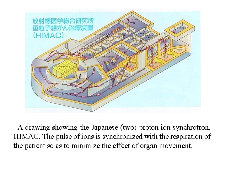 A drawing showing the Japanese (two) proton ion synchrotron, HIMAC. The pulse of ions