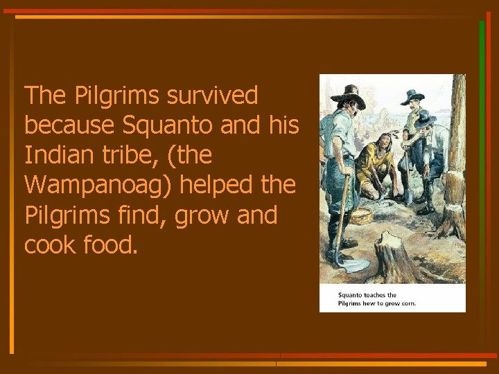 The Pilgrims survived because Squanto and his Indian tribe, (the Wampanoag) helped the Pilgrims