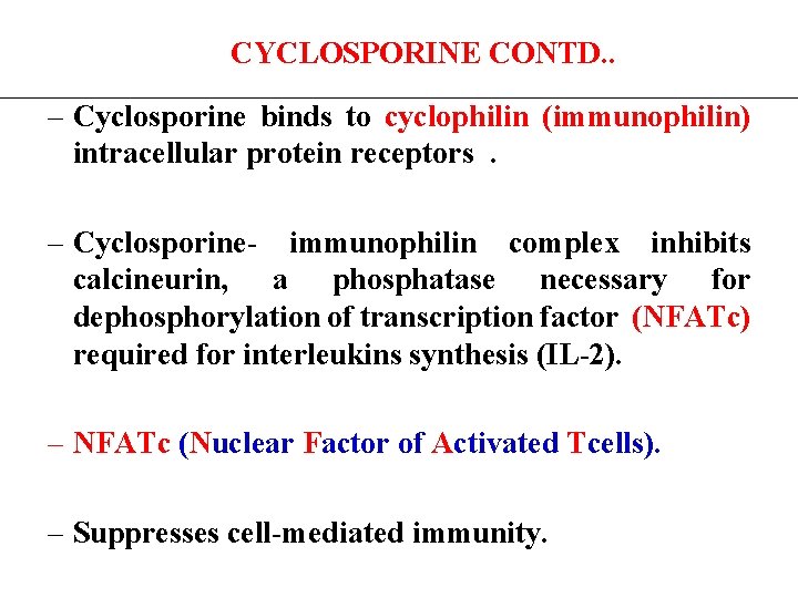 CYCLOSPORINE CONTD. . – Cyclosporine binds to cyclophilin (immunophilin) intracellular protein receptors . –