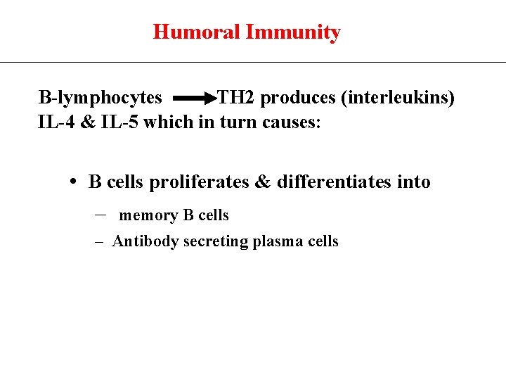 Humoral Immunity B-lymphocytes TH 2 produces (interleukins) IL-4 & IL-5 which in turn causes:
