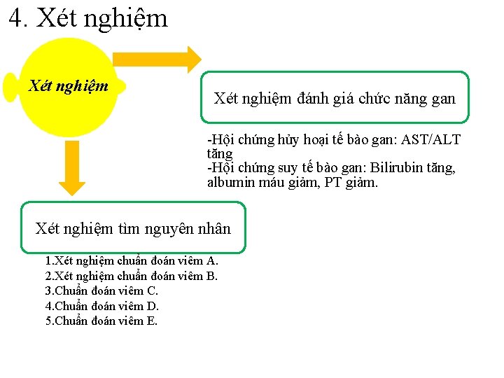 4. Xét nghiệm đánh giá chức năng gan -Hội chứng hủy hoại tế bào