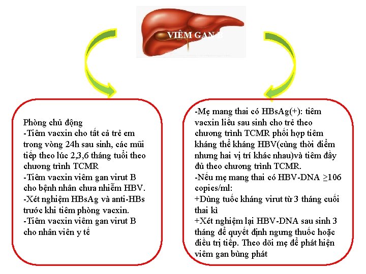 VIÊM GAN B Phòng chủ động -Tiêm vacxin cho tất cả trẻ em trong