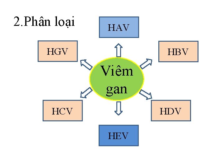 2. Phân loại HAV HGV HBV Viêm gan HCV HDV HEV 