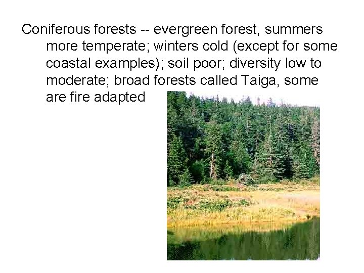 Coniferous forests -- evergreen forest, summers more temperate; winters cold (except for some coastal