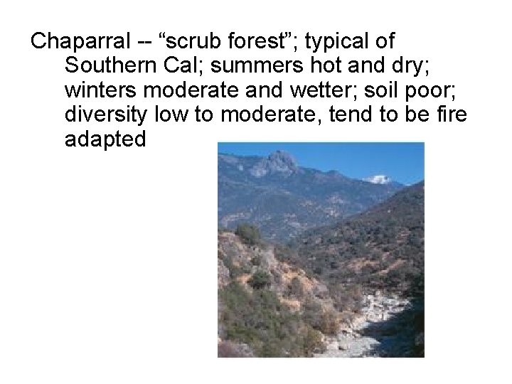 Chaparral -- “scrub forest”; typical of Southern Cal; summers hot and dry; winters moderate