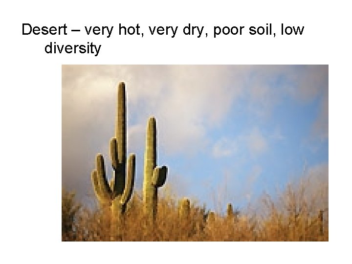 Desert – very hot, very dry, poor soil, low diversity 