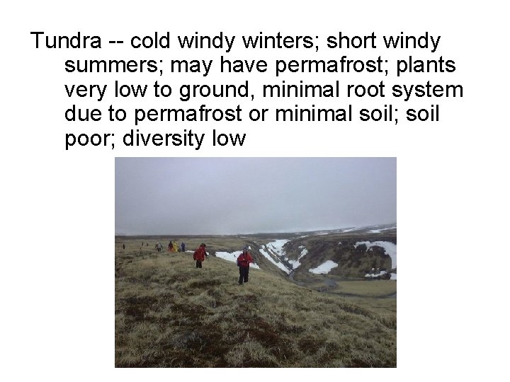 Tundra -- cold windy winters; short windy summers; may have permafrost; plants very low