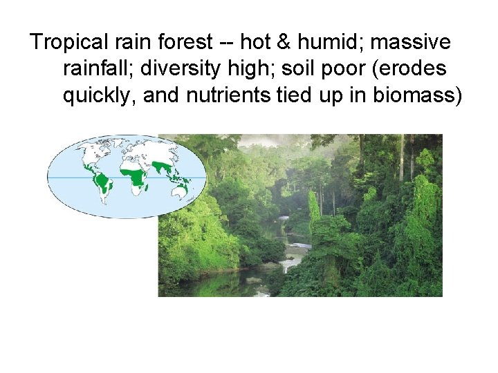 Tropical rain forest -- hot & humid; massive rainfall; diversity high; soil poor (erodes