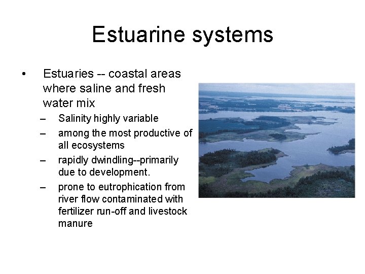Estuarine systems • Estuaries -- coastal areas where saline and fresh water mix –