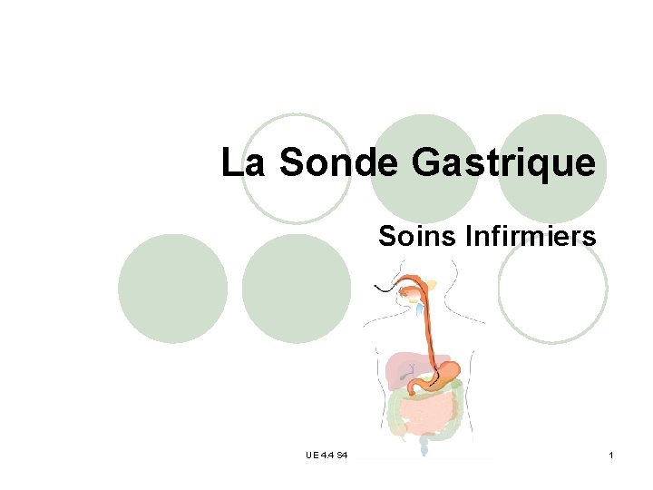 La Sonde Gastrique Soins Infirmiers UE 4. 4 S 4 1 