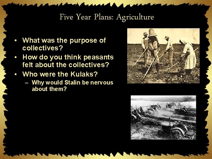 Five Year Plans: Agriculture • What was the purpose of collectives? • How do