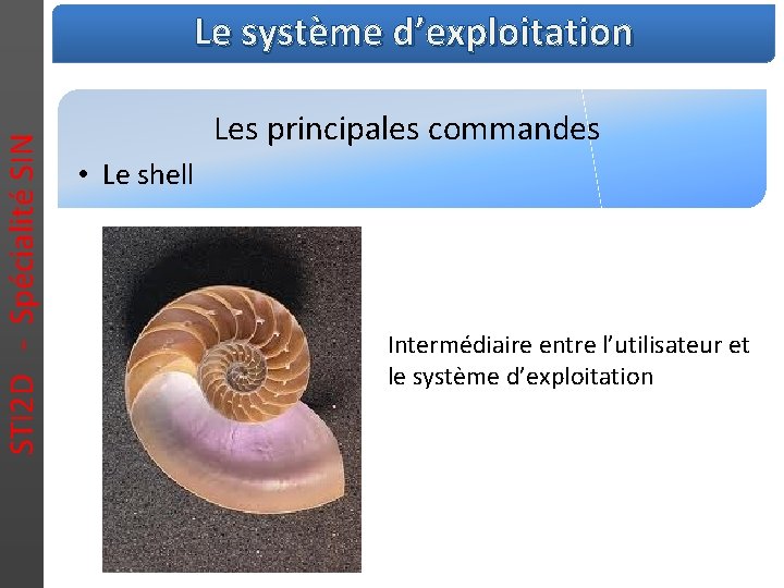 STI 2 D - Spécialité SIN Le système d’exploitation Les principales commandes • Le