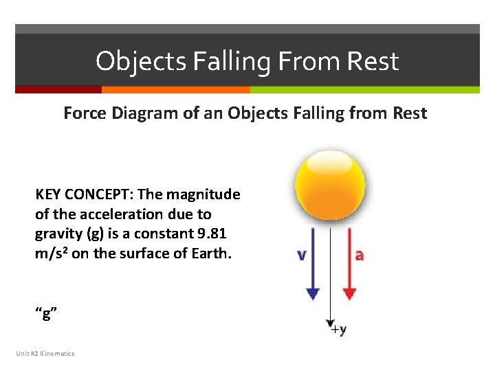Objects Falling From Rest Force Diagram of an Objects Falling from Rest KEY CONCEPT: