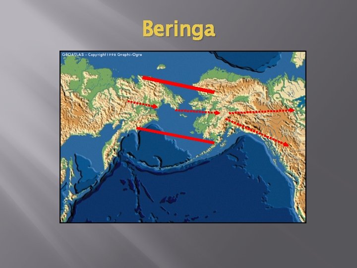 Beringa 