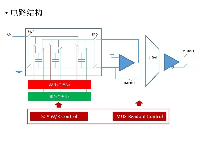  • 电路结构 Ain SWR SRD CSel. Out CHSel WR<0: 63> AMPRST RD<0: 63>